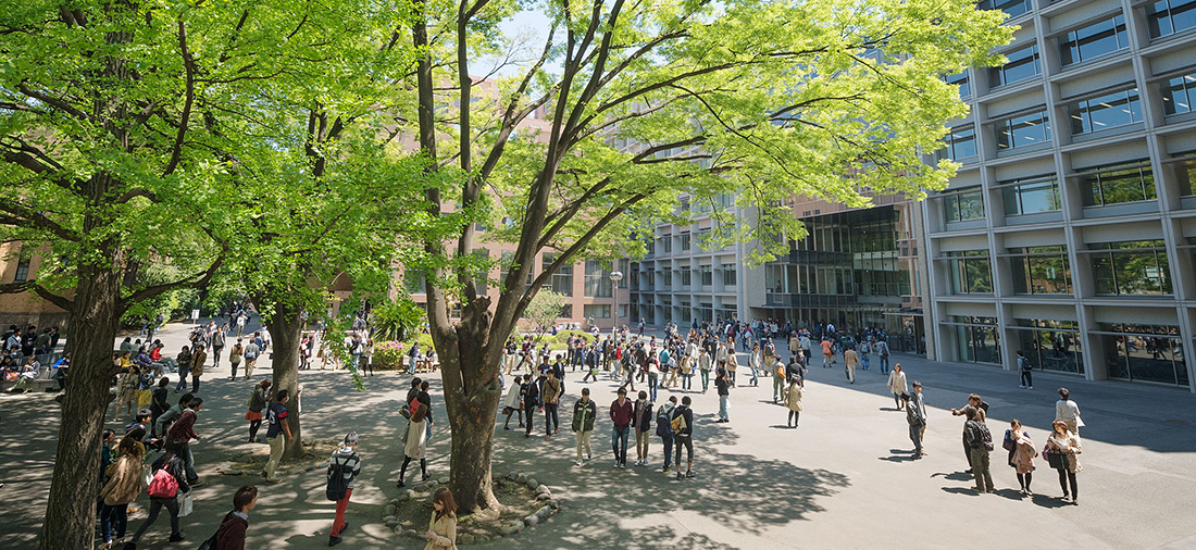 Hiyoshi campus of landscape